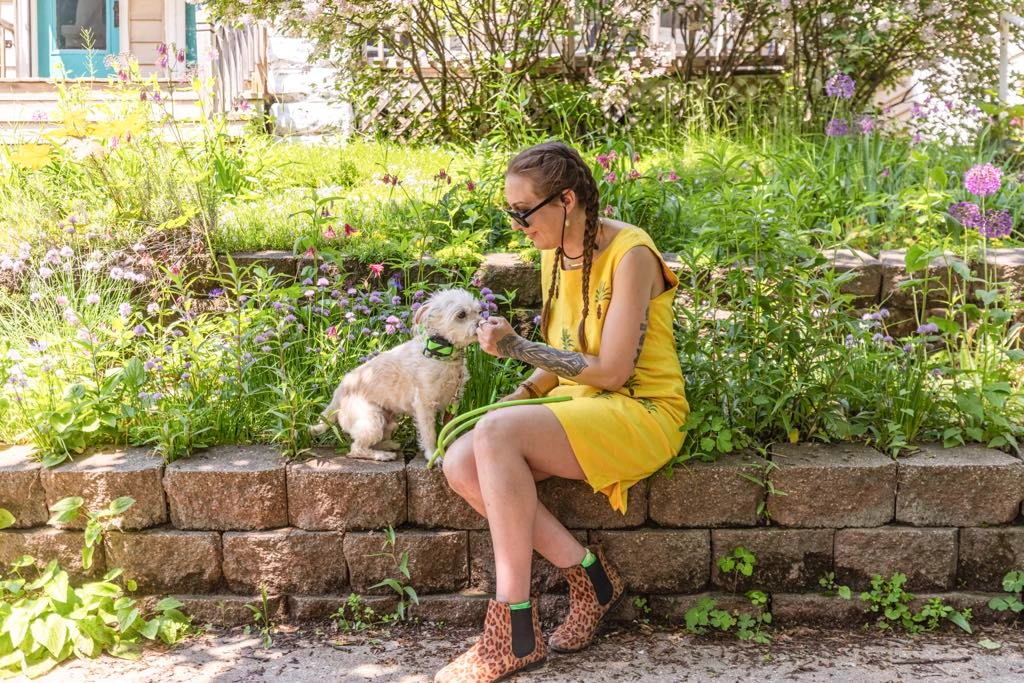 MKE Puppy Pal Dog Training Services in Milwaukee - Puppy Training, Obedience, Aggression, Behavior Modification, and More.