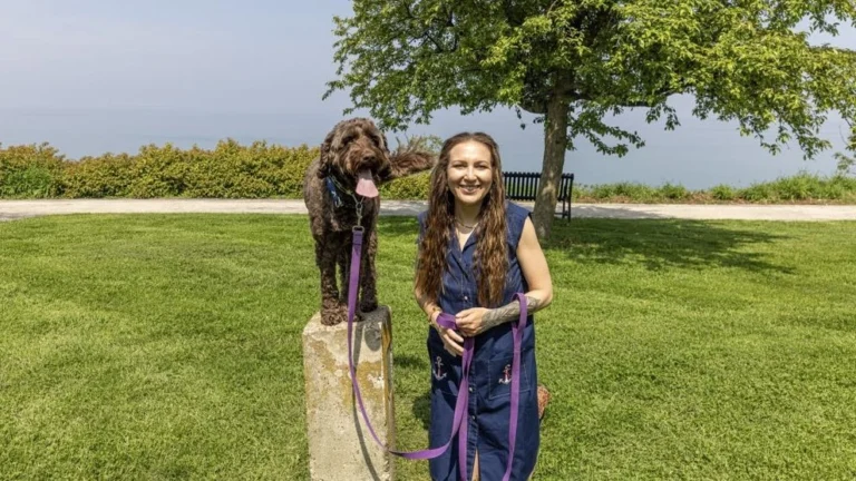Friendly dog training in Milwaukee’s outdoor setting